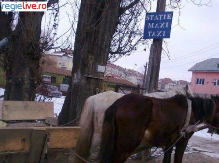 Urcati in maxi taxi va rog .mori de ras